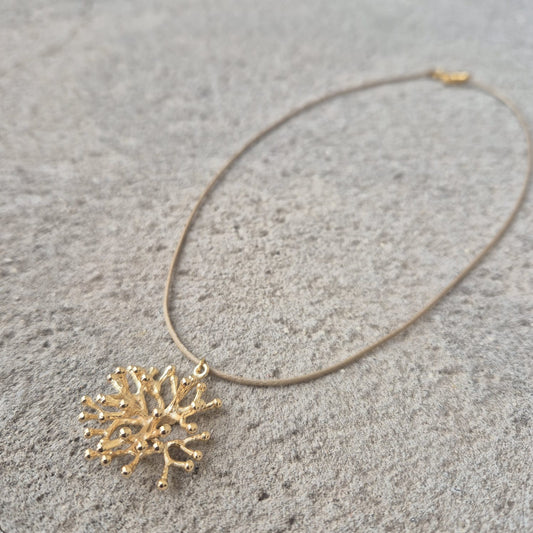 Collar Arrecife